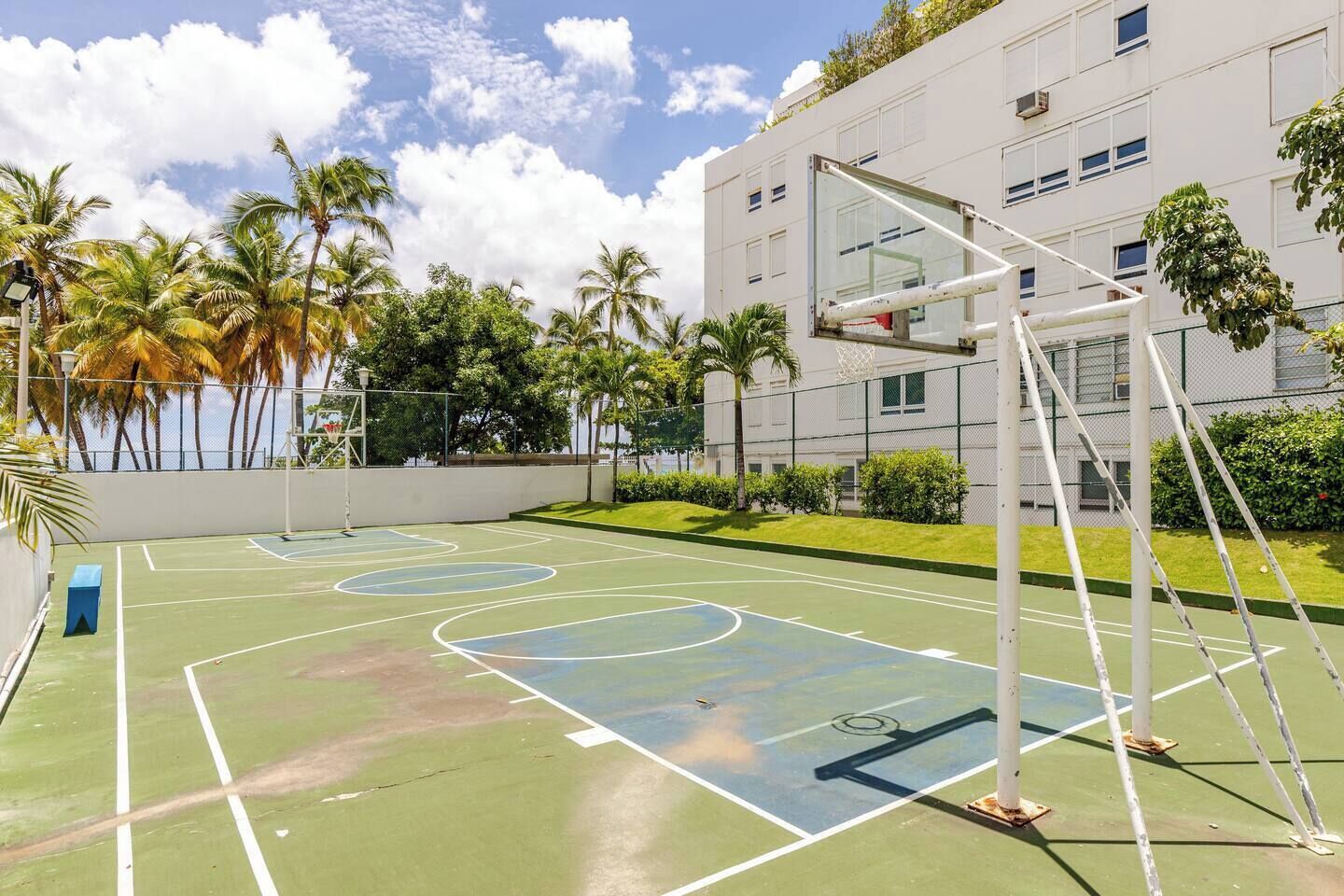 Een buitenlandse basketbalbaan met een net, omringd door palmbomen en een gebouw op de achtergrond.