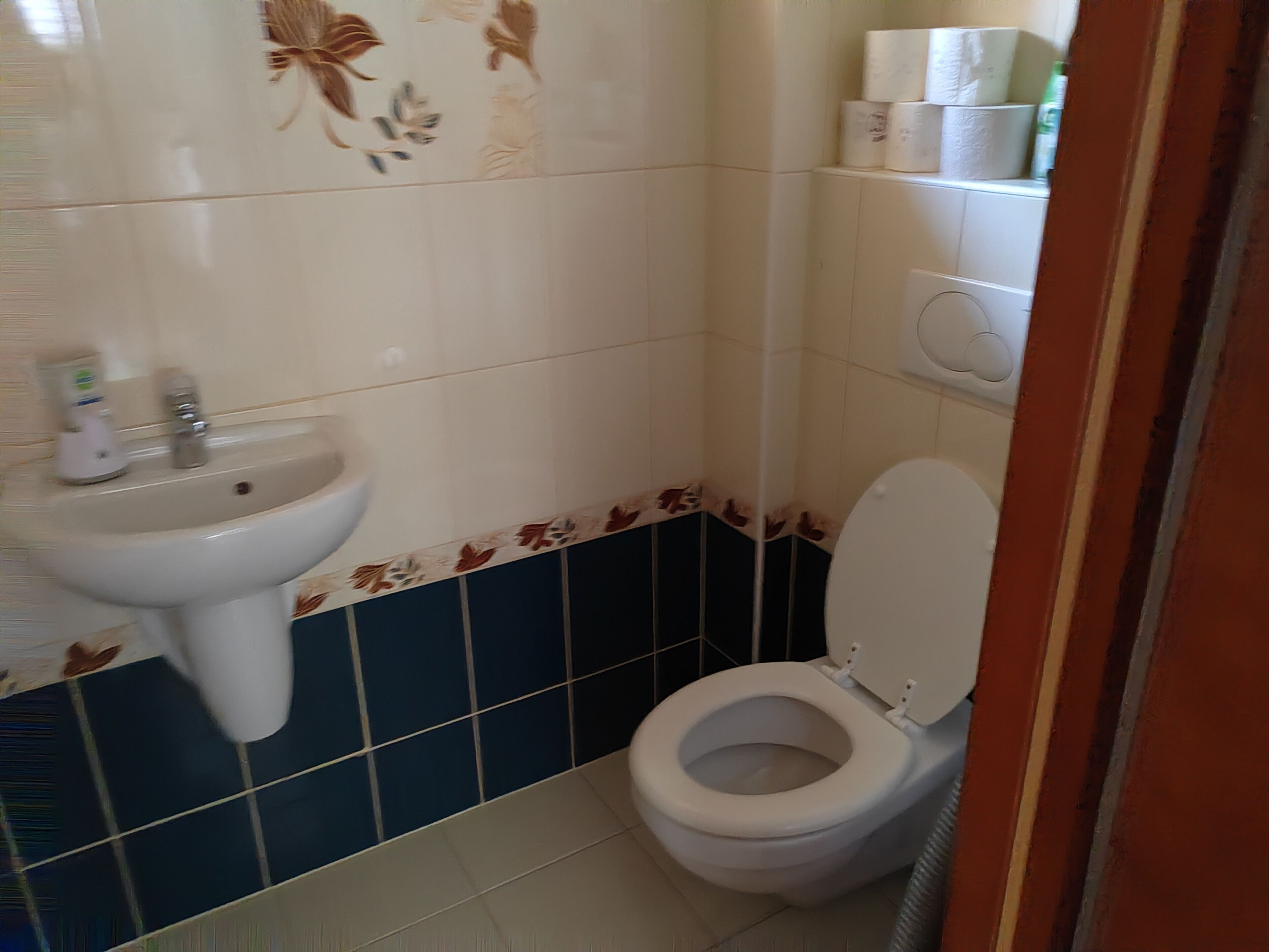 A bathroom with a sink, toilet, and toilet paper dispenser.