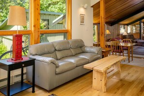 Smart TV, fireplace, video library