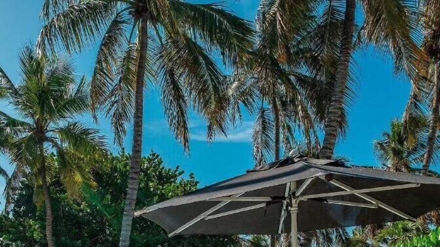 Hotel Paradise Oasis