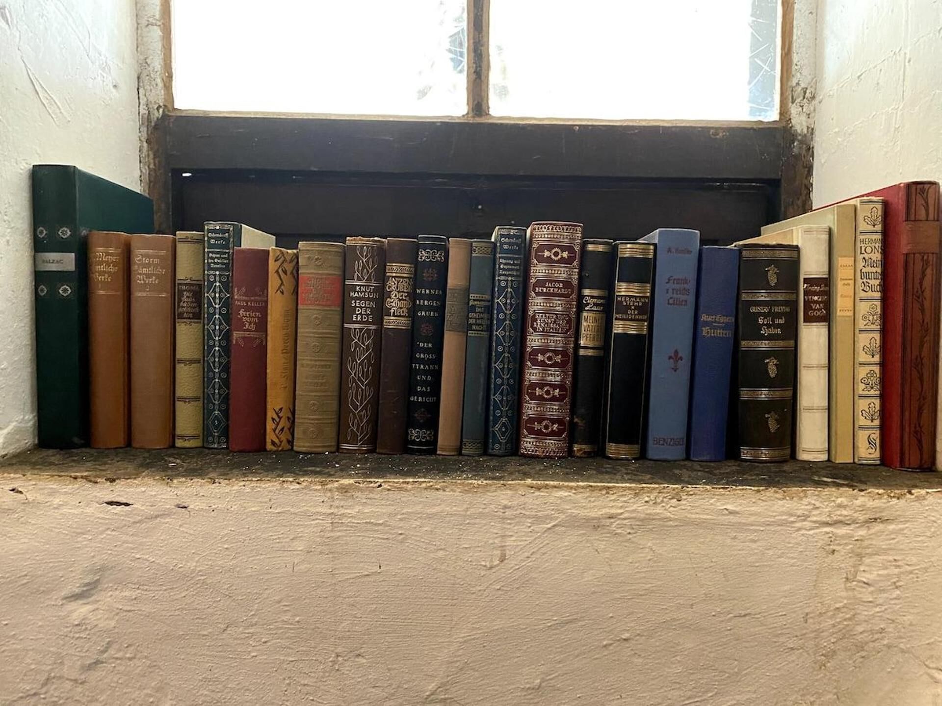 A row of books on a shelf by a window.