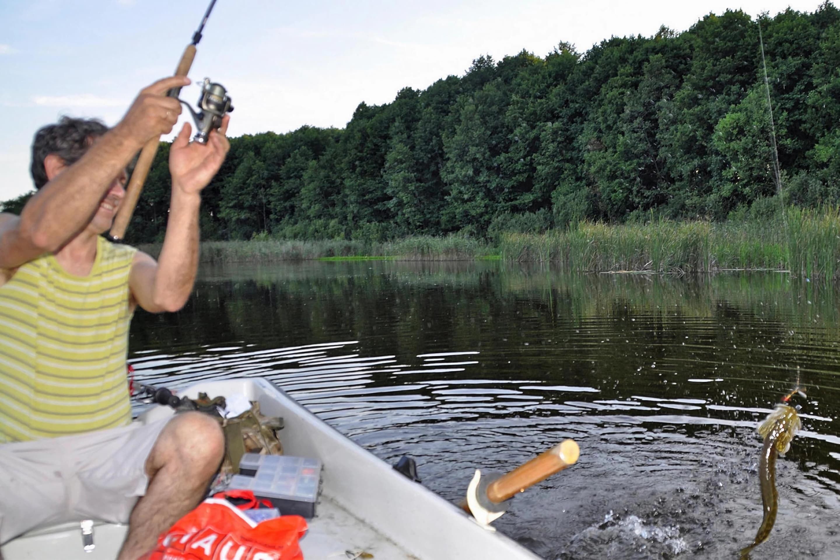 Eine Person angelt von einem Boot auf einem ruhigen See, im Hintergrund ein dichter Wald.