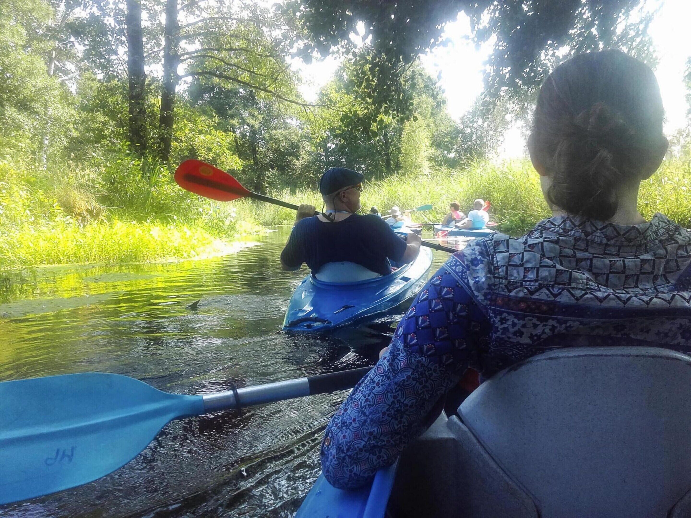 Eine Gruppe von Menschen paddelt mit Kajaks auf einem ruhigen Fluss, umgeben von üppiger Vegetation.