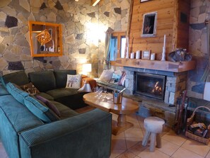 TV connectée, cheminée, lecteur de DVD, livres