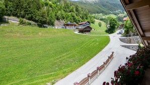 A view of a rural road leading to a village with houses and a mountain in the background. - Chalet in Mayrhofen Near Ski Slopes (Brandberg)