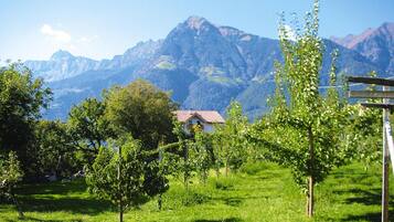 Apartemen | Pemandangan dari properti