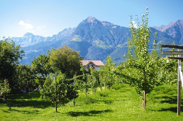 Apartment | View from property - Apartment in Trentino, South Tyrol With Garden (Tirolo)
