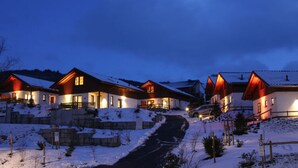 A row of wooden houses with snow-covered roofs and a paved driveway. - Chalets am Diemelsee in Heringhausen (Diemelsee)