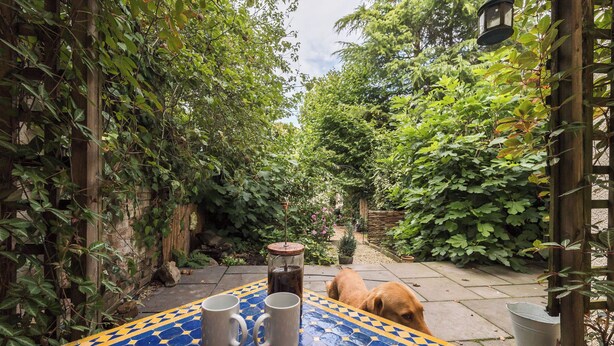 A garden patio with a tiled table, two mugs, and a dog. - Gorgeous Garden Flat - Top Location (Cotham)