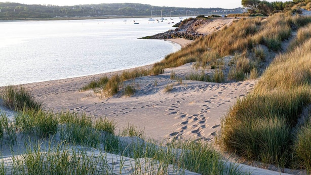 A sandy beach with dunes and grass, a calm body of water, and boats in the distance. - Ferienwohnung in Wyk-boldixum auf Foehr (Wyk auf Foehr)