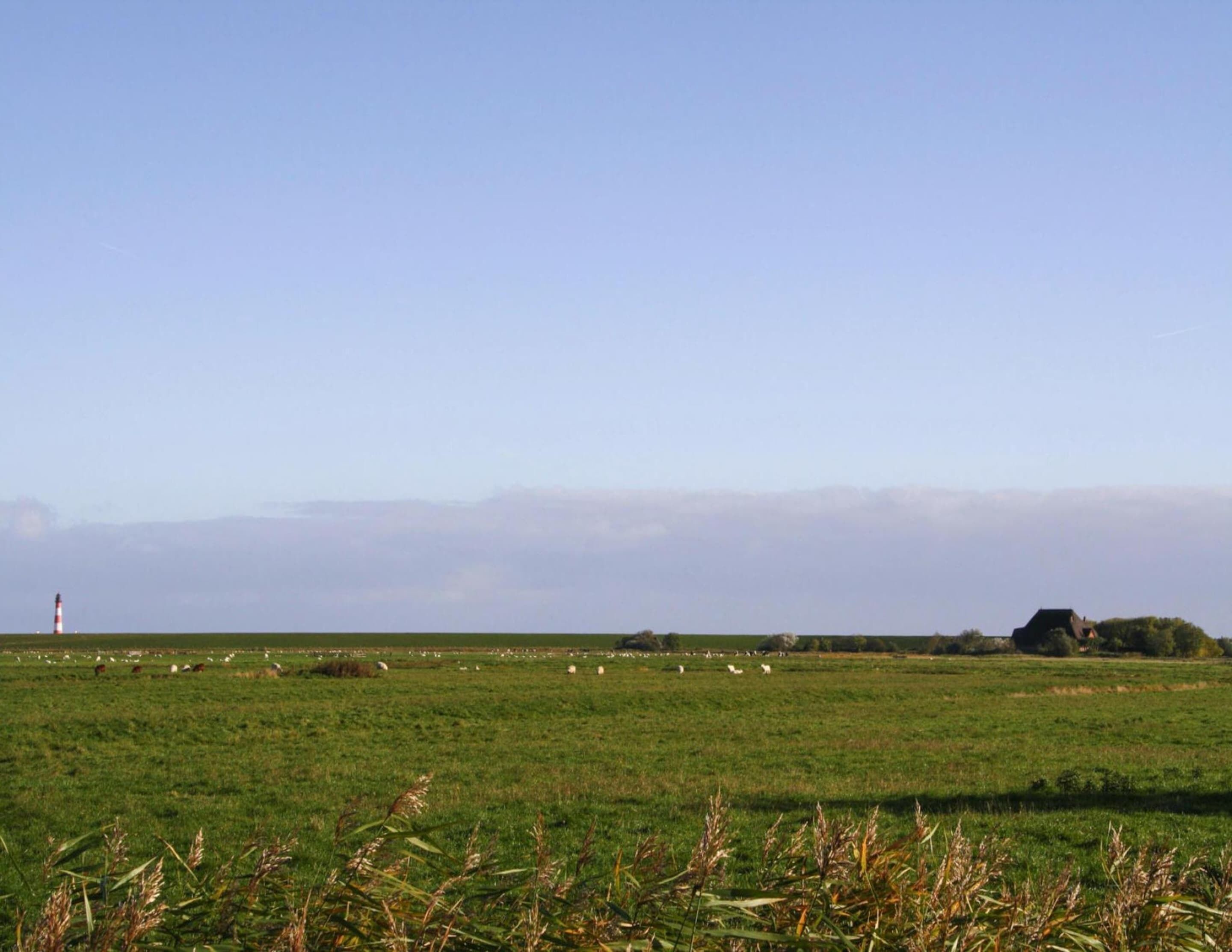 A wide-open field with a lighthouse in the distance, a few scattered trees, and a clear sky.