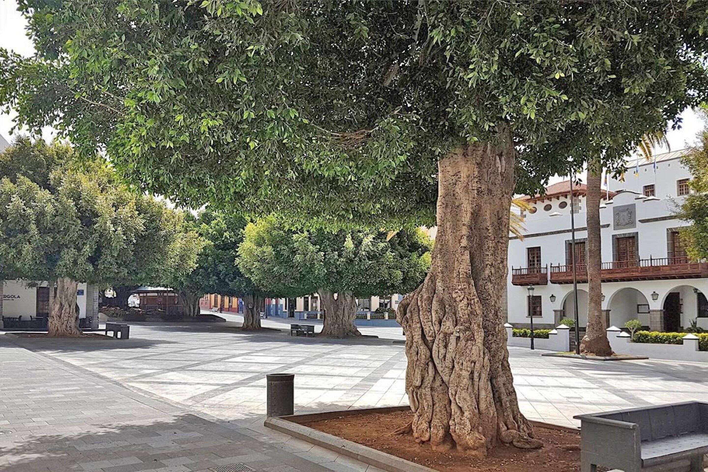 Appartement | Vue depuis l’hébergement 