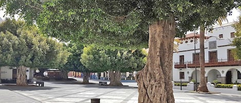 Appartement | Vue depuis lâhĂ©bergement
