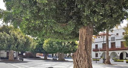 Apartment, Los Llanos de Aridane