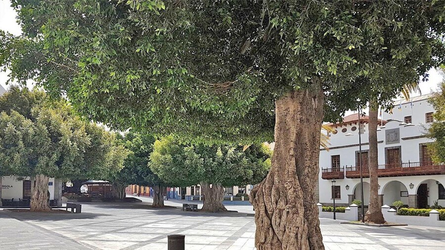 Apartment, Los Llanos de Aridane