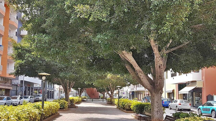 Apartment, Los Llanos de Aridane