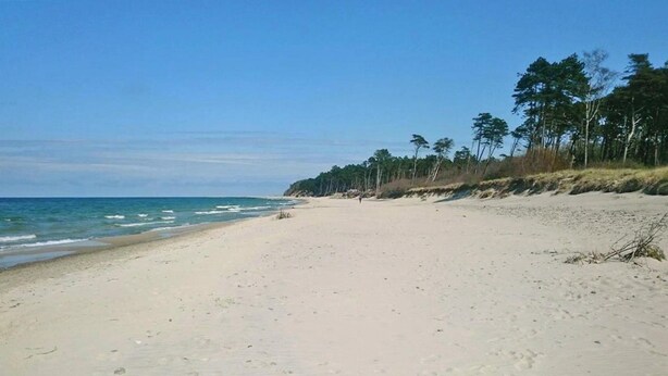 A wide sandy beach with gentle waves, a clear sky, and a line of trees along the shore. - Holiday Homes With Terraces, Close to the Beach (Postomino)