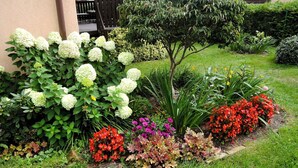 En välskött trädgård med olika växter och blommor, en träaltan och ett hus i bakgrunden.
