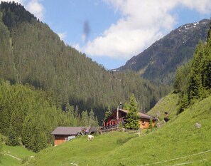 View from property - Chalet, Konigsleiten (Wald im Pinzgau)