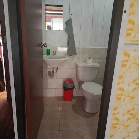 Bathroom. Amazon Rainforest