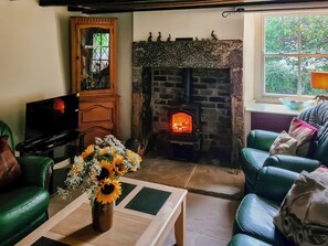TV, fireplace