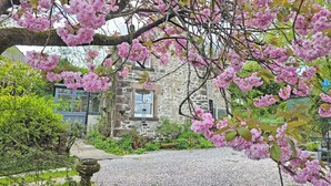A stone building with a gravel path leading to it, surrounded by lush greenery and pink flowering trees. - 2 bedroom accommodation in Aldwark, near Brassington (Aldwark, near Brassington)
