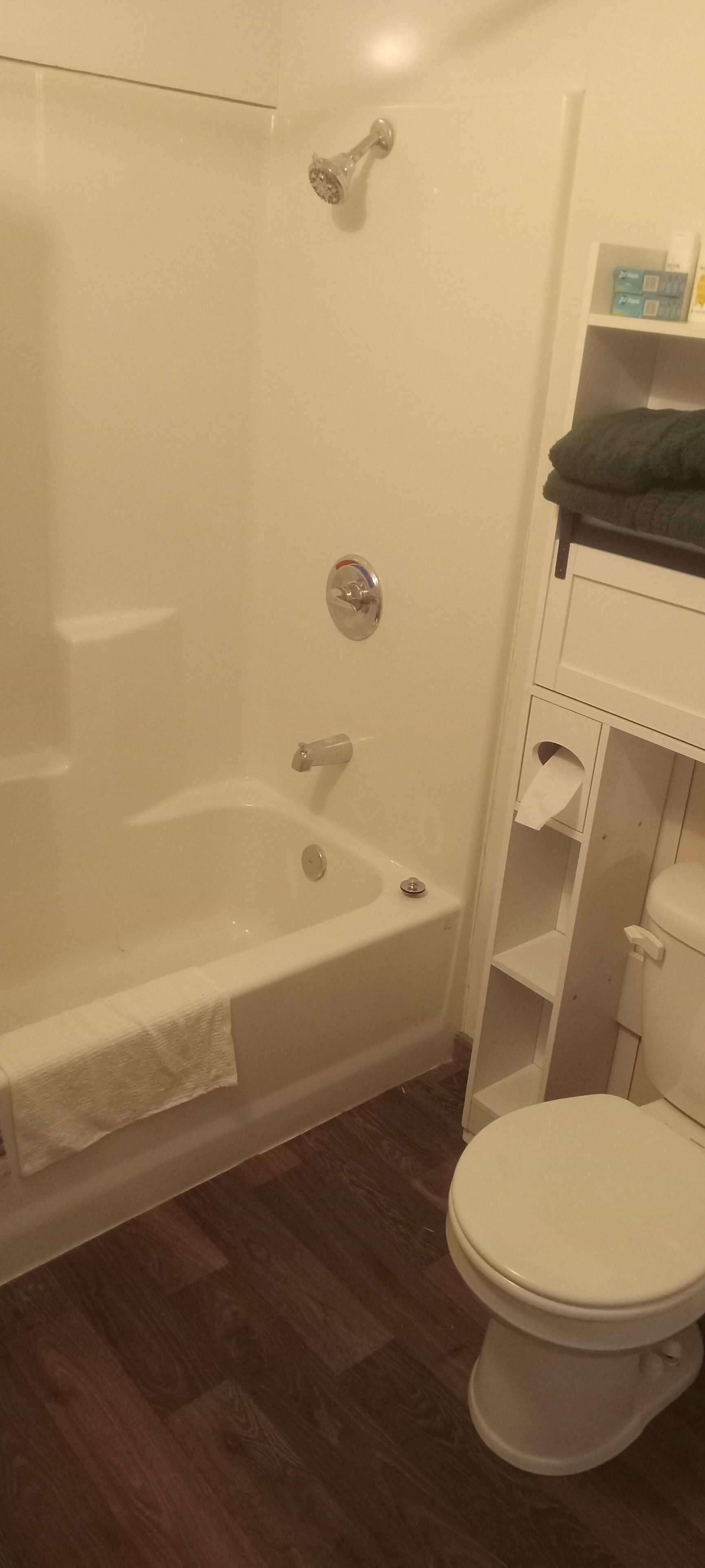 Haartrockner, Handtücher, Seife, Shampoo