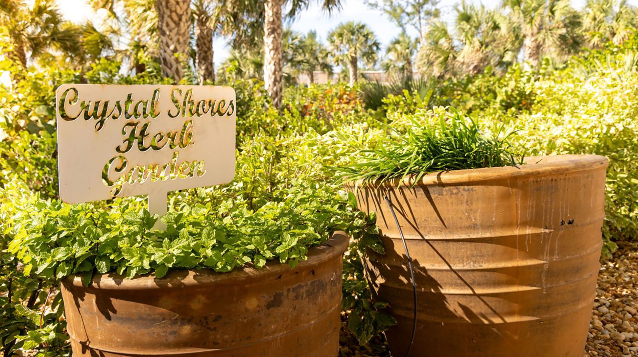 A sign for 'Crystal Shores Herb Garden' with two large terracotta pots filled with green plants.