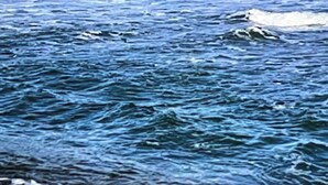 Una playa con olas y un velero a lo lejos.