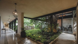A spacious indoor garden area with a variety of plants and a water feature. - Adoro Hotel Boutique (Mérida)