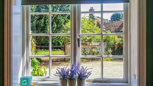 A window with multiple panes, a small shelf with potted plants, and a view of a garden with trees and a brick wall.