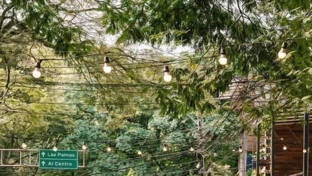 Un espace café en plein air, avec des tables et des chaises, entouré de verdure et d’arbres.