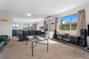 TV, video games, DVD player, books