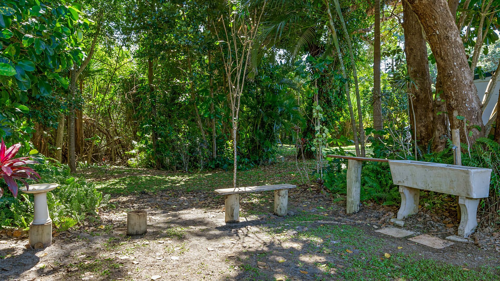 Un jardin avec un banc en bois, un abreuvoir pour oiseaux et un bac à fleurs en béton.