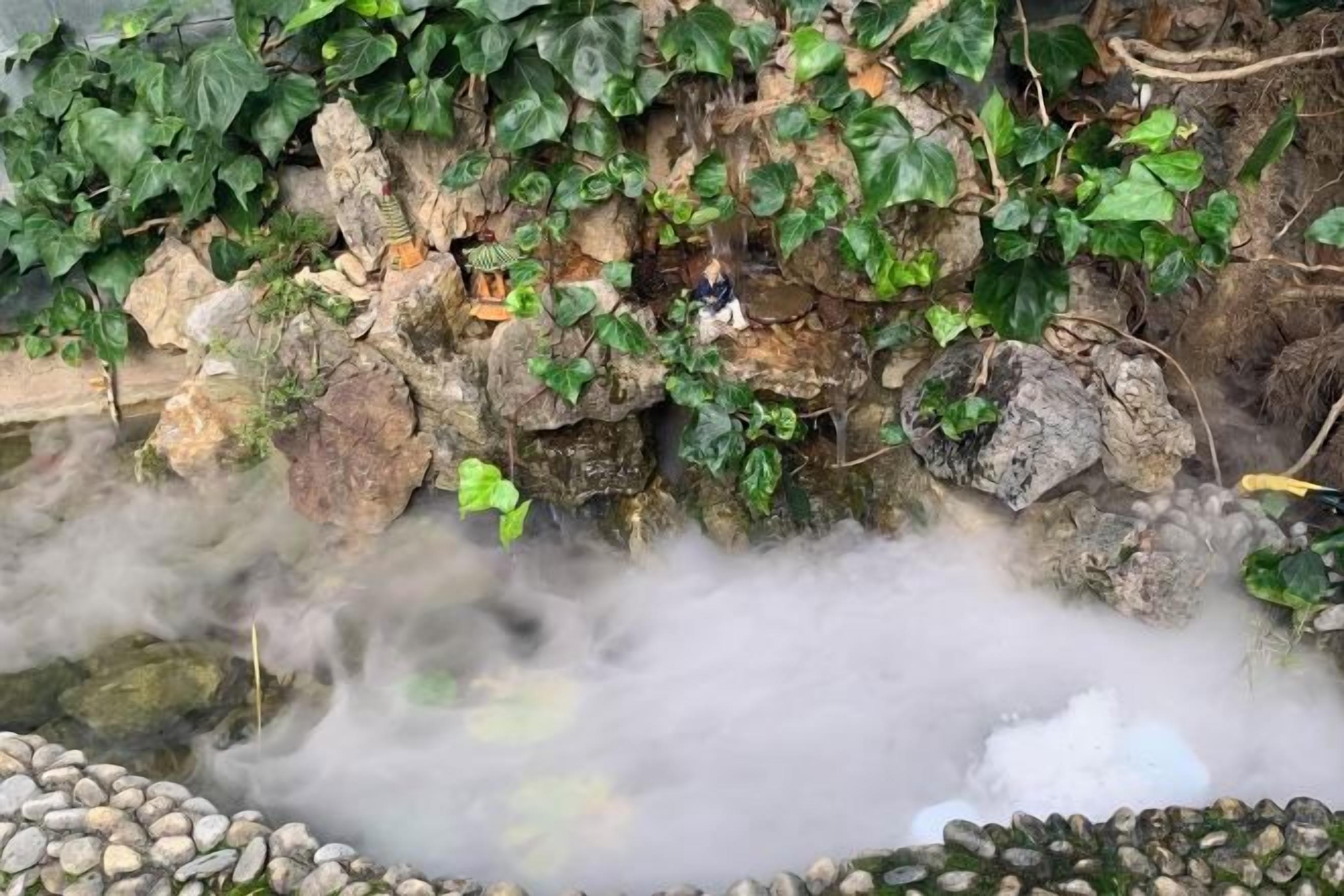 A natural hot spring with steam rising, surrounded by rocks and greenery.