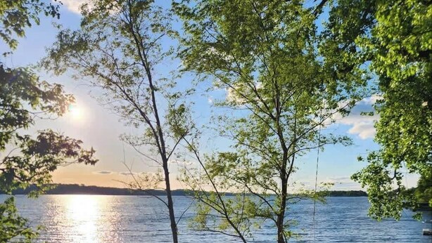 A beach with a wooden dock extending into calm waters, surrounded by trees and a clear sky.