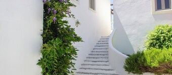 Casa Poejo - Monte das Oliveiras - um Refugio Perfeito no Coração do Alentejo