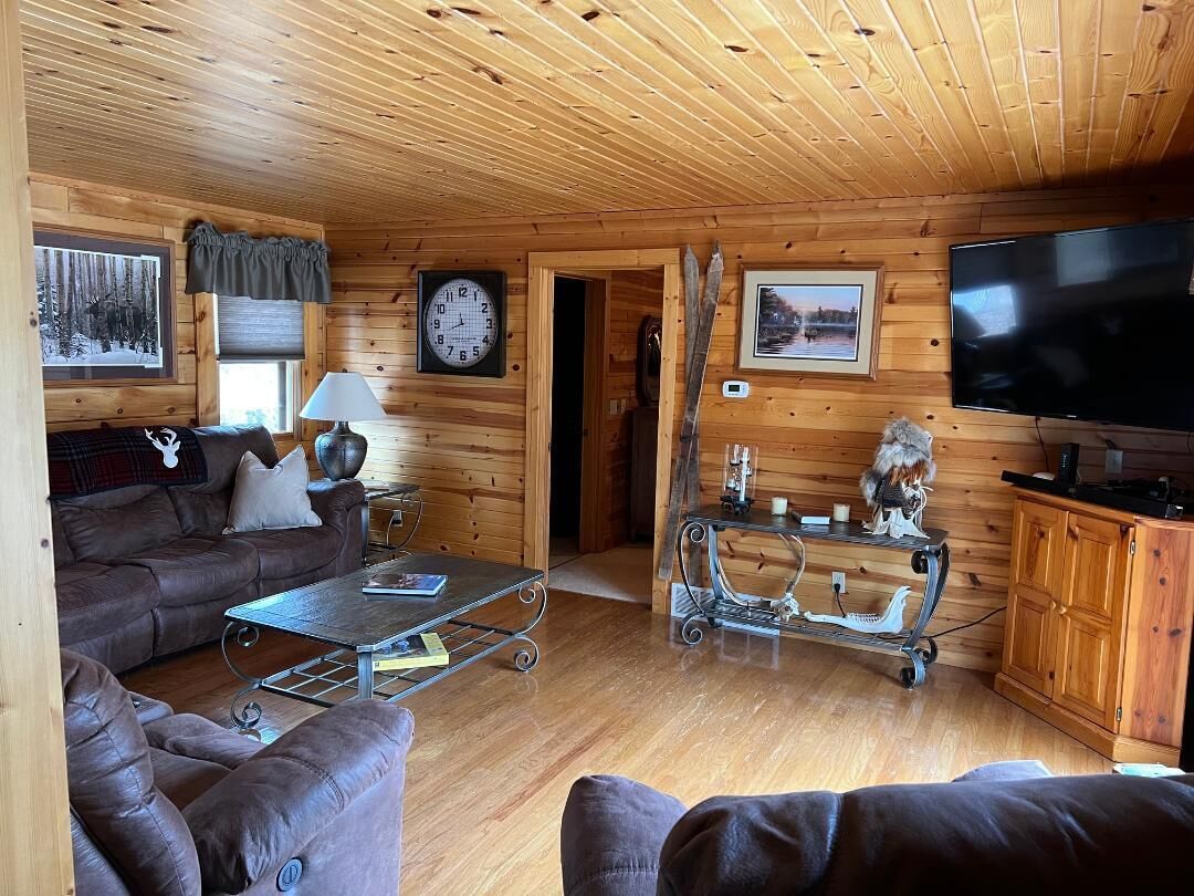 TV connectée, cheminée, lecteur de DVD, livres