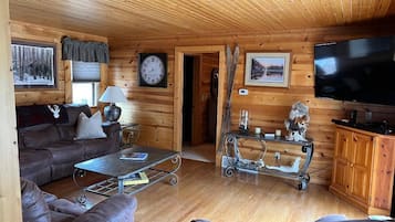 TV connectée, cheminée, lecteur de DVD, livres