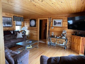 Een smart-tv, een open haard, een dvd-speler en boeken