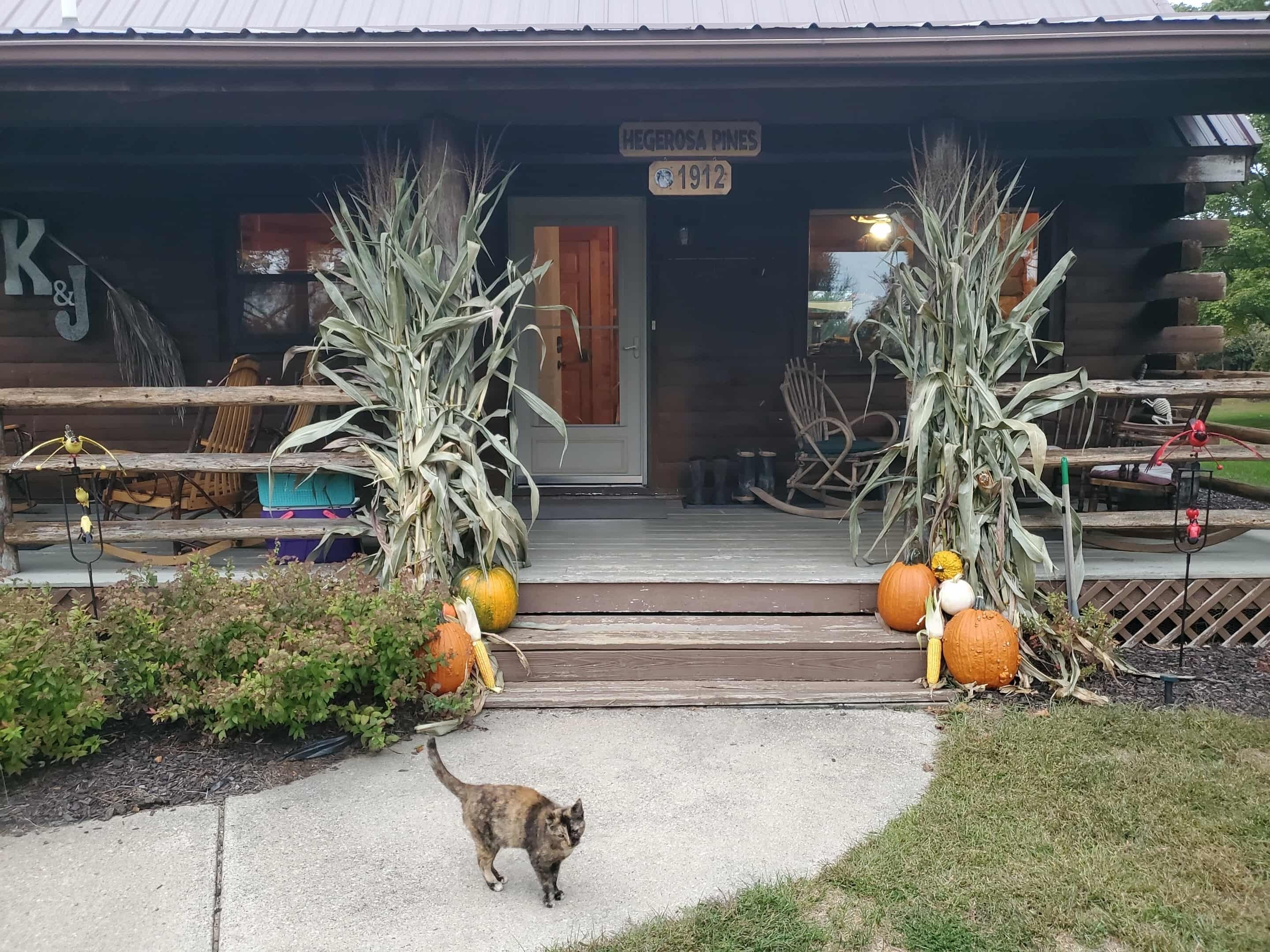 A rustic building with a wooden porch, a sign reading "Hegrosa Pines 1912", and a cat walking on the gravel path.