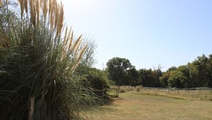 A grassy field with tall grasses and trees in the background. - Gîtes au Château de Servanches, Dordogne, 20 Personnes, Piscine & Nature (Servanches)