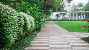 Un vialetto fiancheggiato da siepi curate e un pavimento in pietra a scacchi.