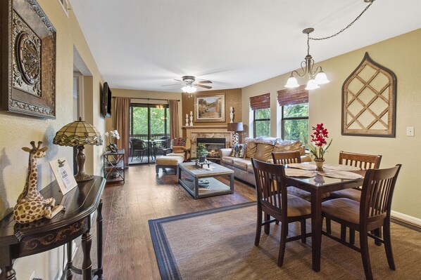 TV connectée, cheminée, lecteur de DVD, livres