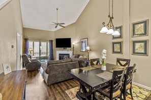 Smart TV, fireplace, books