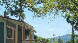 A house with a porch, a potted plant, and a view of a forested area. - 3 Miles to Asheville! Sunfilled Cabin with Wi/Fi (Asheville)
