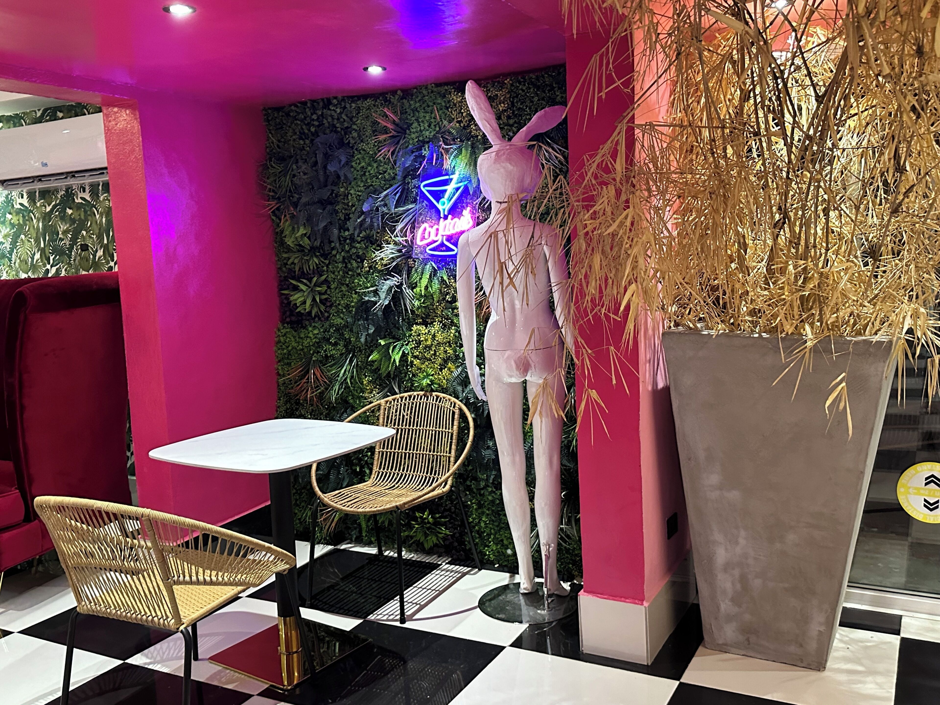 Menyajikan masakan internasional