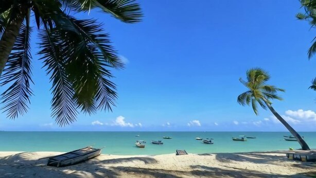 A beach with palm trees, a sandy shore, and boats in the water. - Youjia Holiday Apartment Sanya Yalongwan Shenya Feicuigu (Sanya)