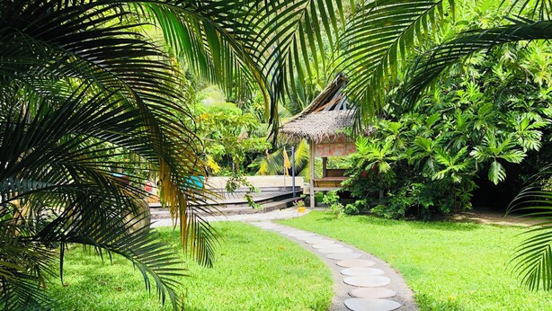 A pathway leading to a thatched-roof structure surrounded by lush greenery. - Polynesian Bungalow"seashell" Private Bath AC with shared swimming pool (Moorea-Maiao)