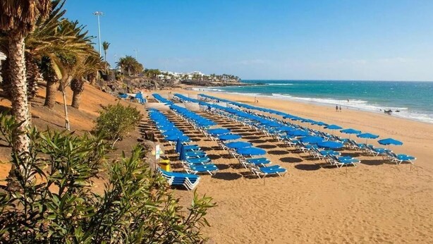 A beach with rows of blue sun loungers and umbrellas, palm trees, and a clear view of the ocean. - Villa Alicia, Moderne Exklusive Villa in Puerto del Carmen (Tías)